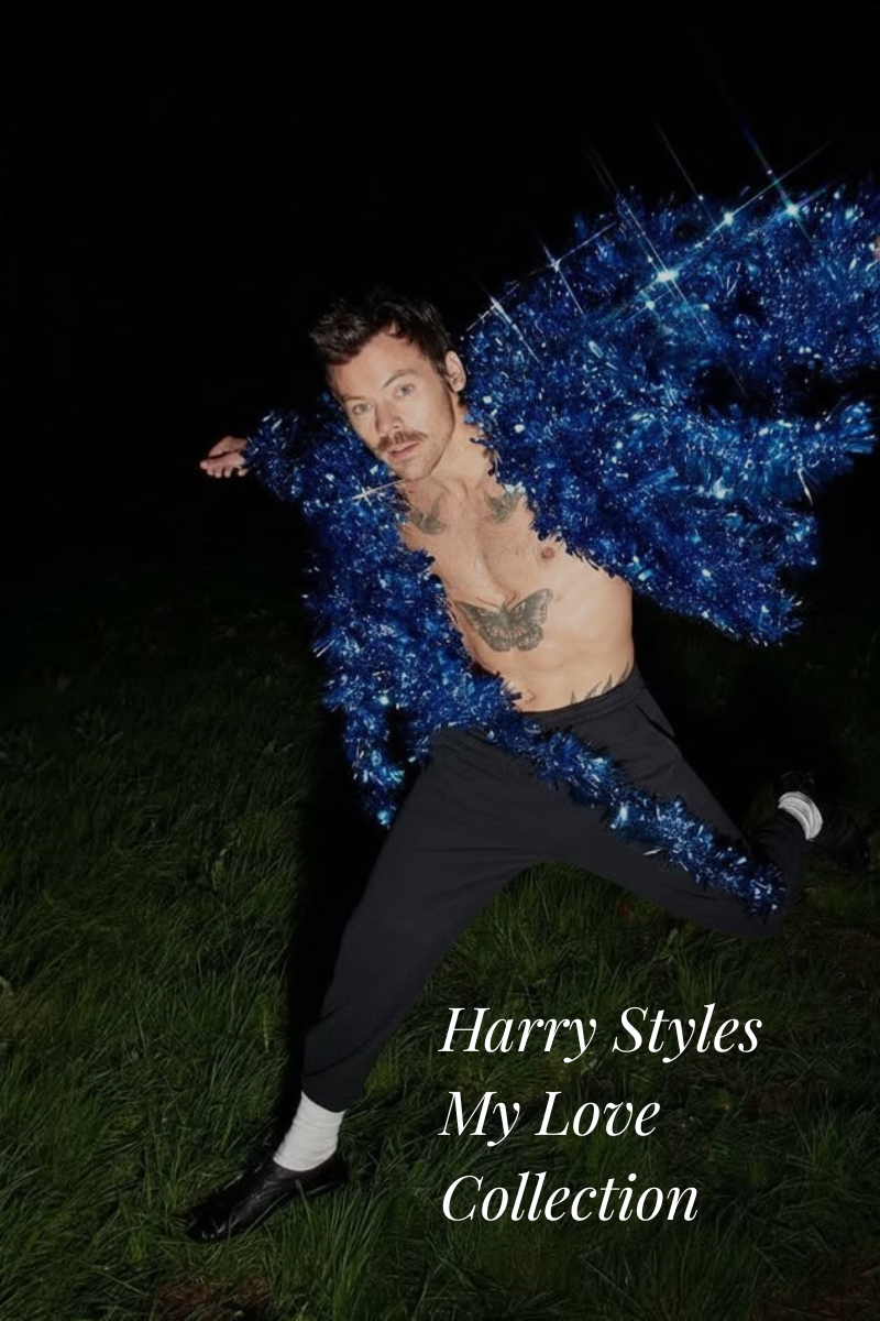 Harry Styles My Love
